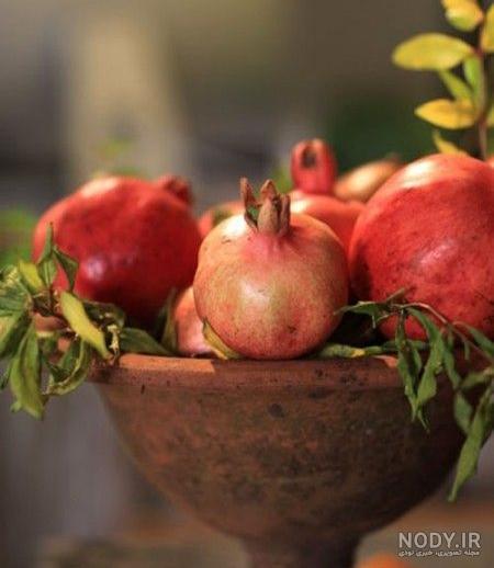 عکس هنری پاییزی