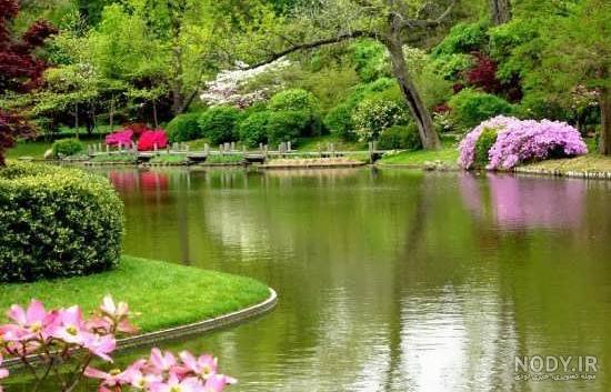 عکس پروفایل شیک طبیعی