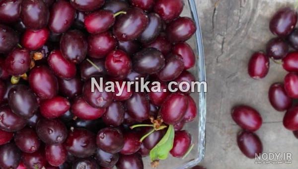 عکس گل زغال اخته