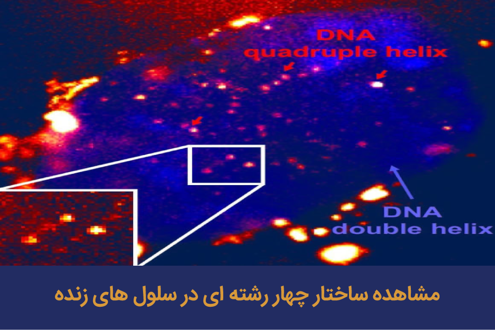 مولکول آب چیست مولکول آب چیست