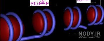 مولکول چیست علوم هفتم با جواب مولکول چیست علوم هفتم با جواب