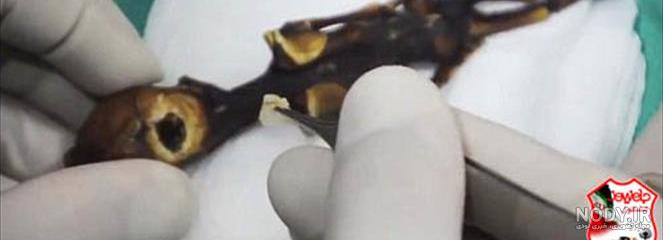 مولکول چیست علوم پنجم مولکول چیست علوم پنجم