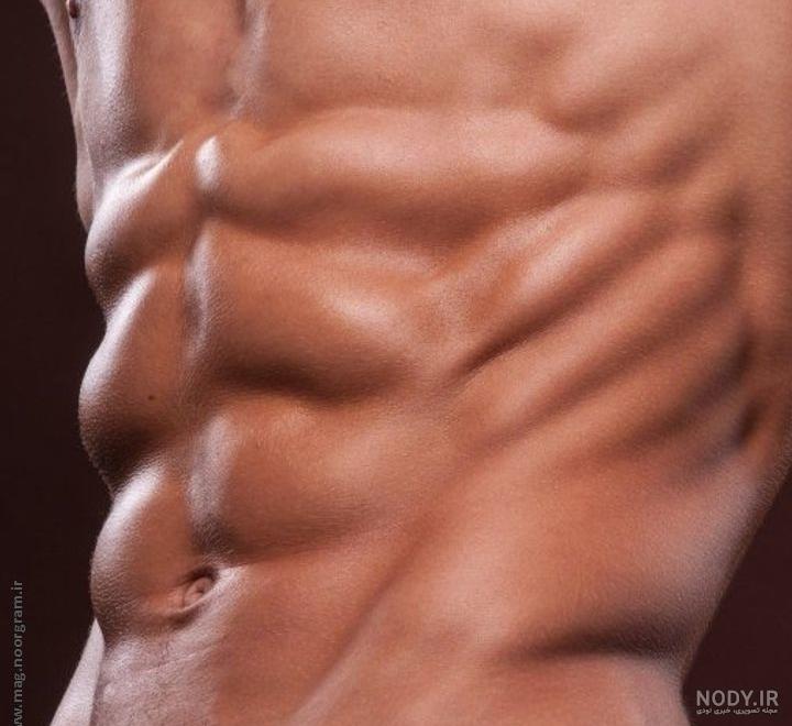  عکس بدن شکم شش تکه