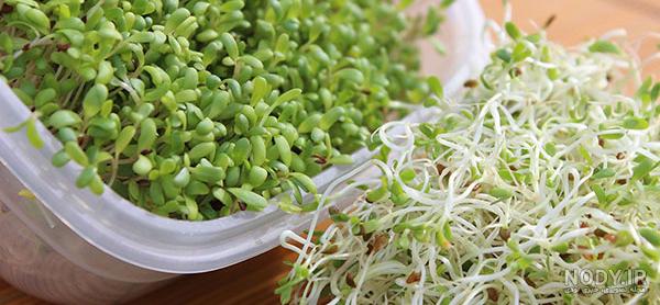 خواص یونجه برای پوست خواص یونجه برای پوست