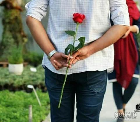 دانلود عکس گل برای پروفایل