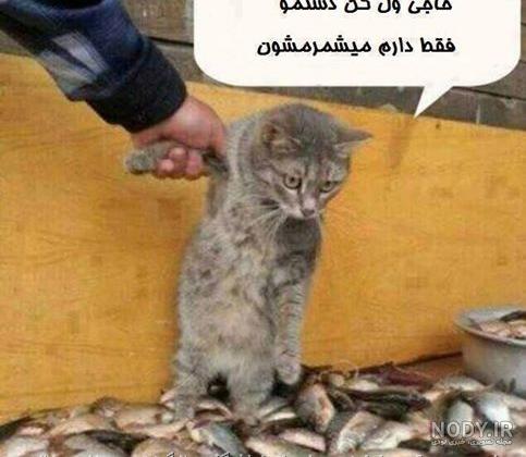 عکس جدید باحال قشنگ عکس جدید باحال قشنگ