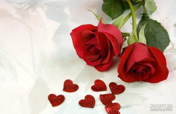 عکس دختر با گل برای پروفایل