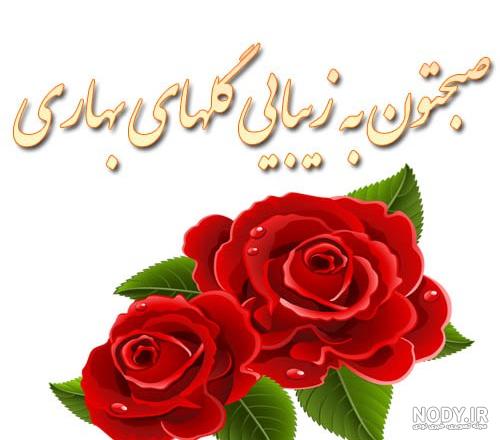 عکس صبح بخیر عزیزم عکس صبح بخیر عزیزم