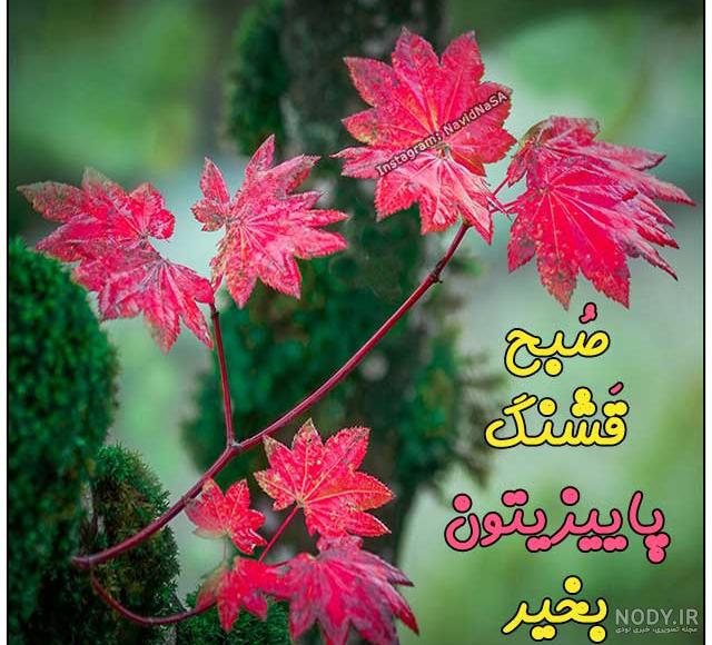 عکس صبح بخیر عزیزم عکس صبح بخیر عزیزم