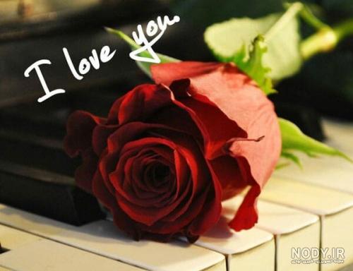 عکس عاشقانه بدون متن گل