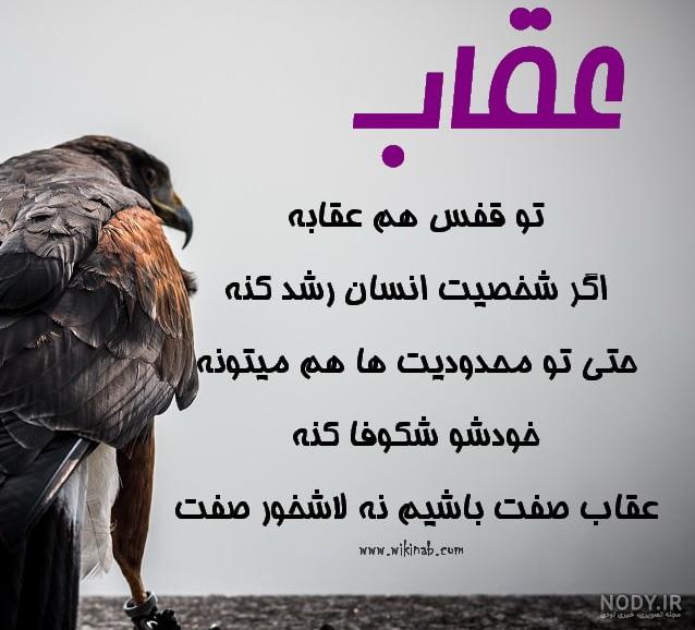 عکس عقاب در حال شکار عکس عقاب در حال شکار