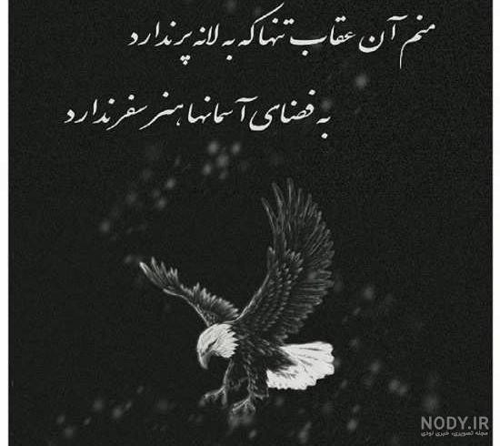 عکس عقاب غمگین عکس عقاب غمگین