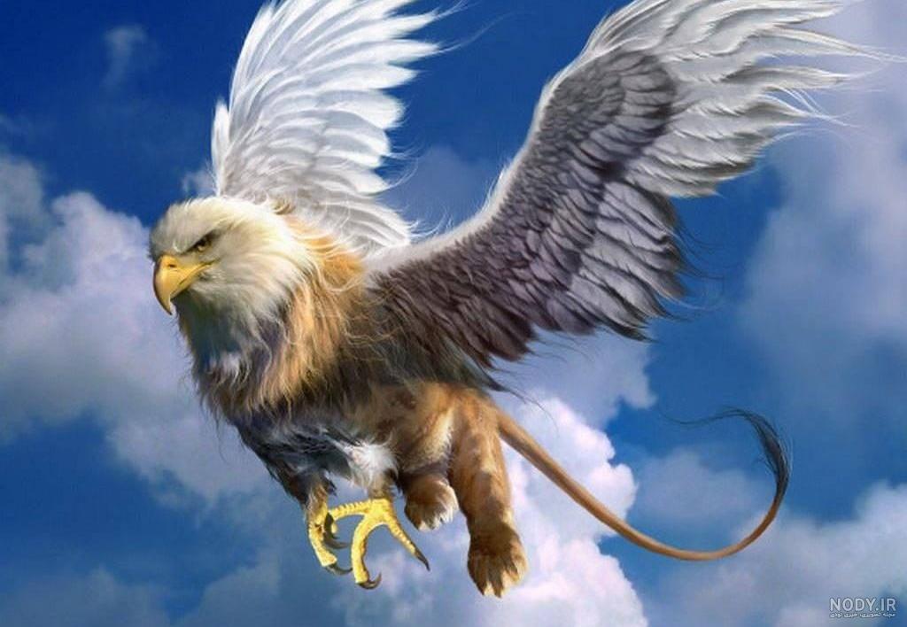 عکس عقاب وحشی برای پروفایل عکس عقاب وحشی برای پروفایل