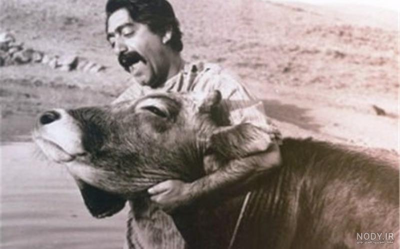 عکس فیلم گاوخونی عکس فیلم گاوخونی