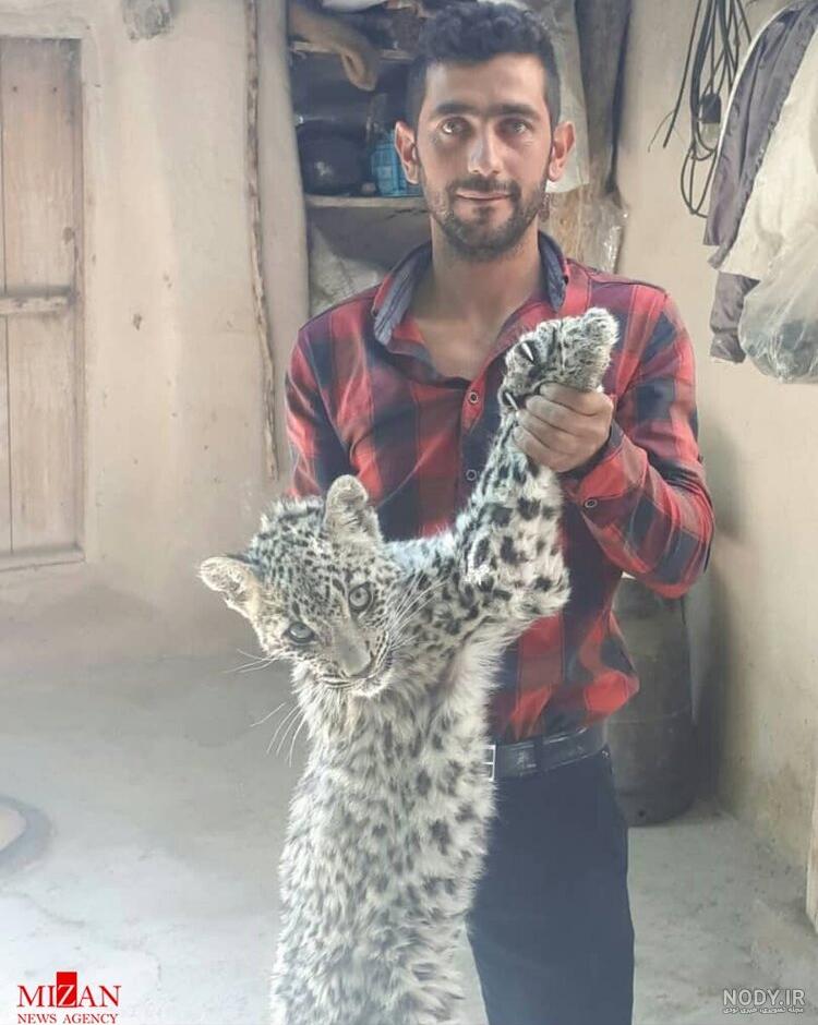 عکس نوشته پلنگ عکس نوشته پلنگ