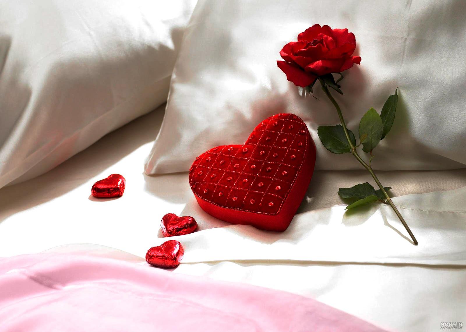 عکس گل های عاشقانه بدون متن