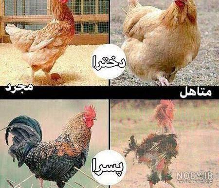 عکسهای باحال قشنگ عکسهای باحال قشنگ