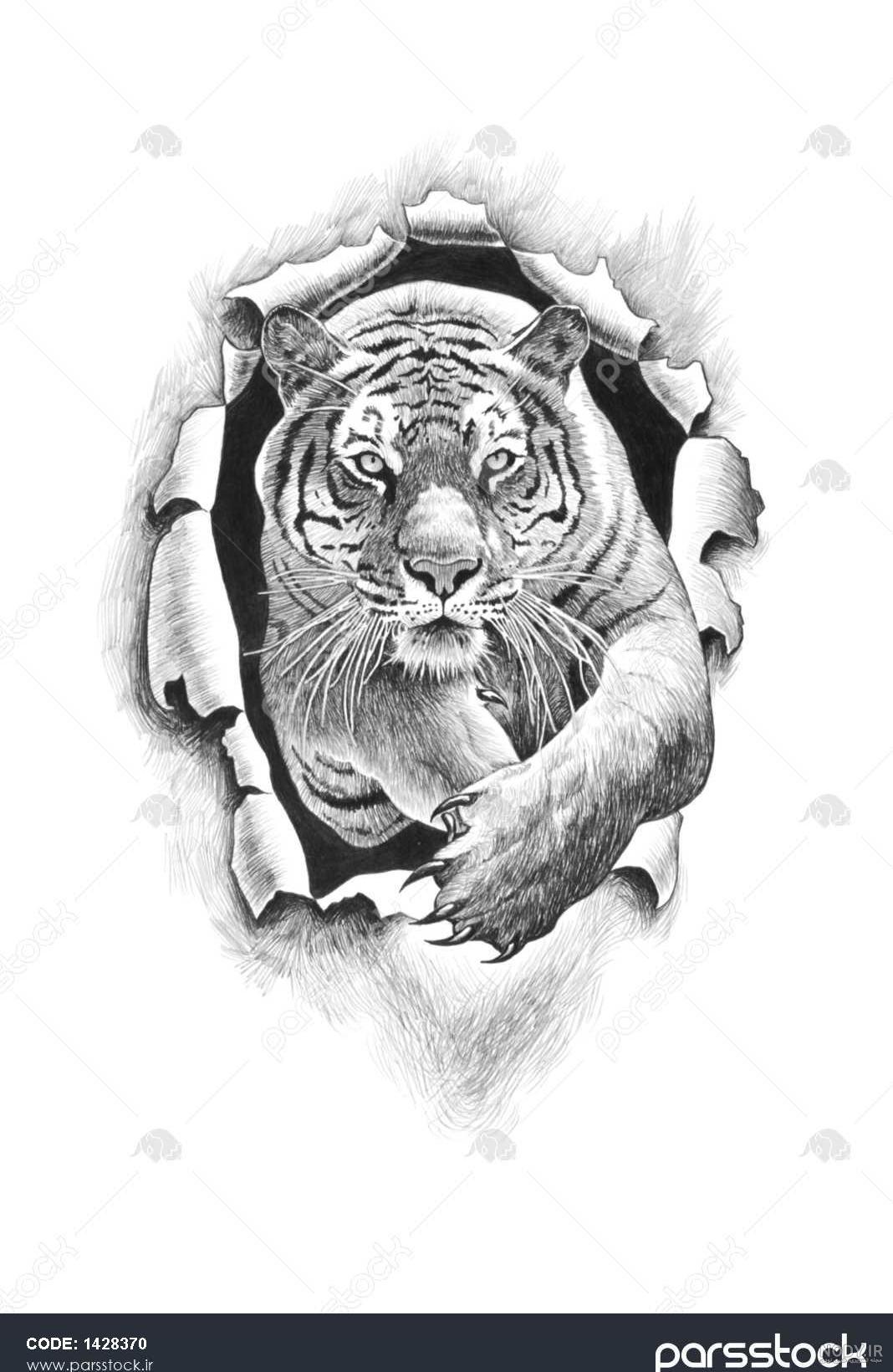 نقاشی صورت پلنگ ساده