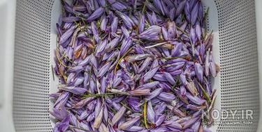 هزینه کاشت زعفران