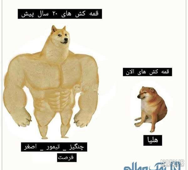 هلیا قمه کش کیست