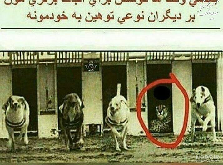 پروفایل انرژی مثبت و شاد پروفایل انرژی مثبت و شاد