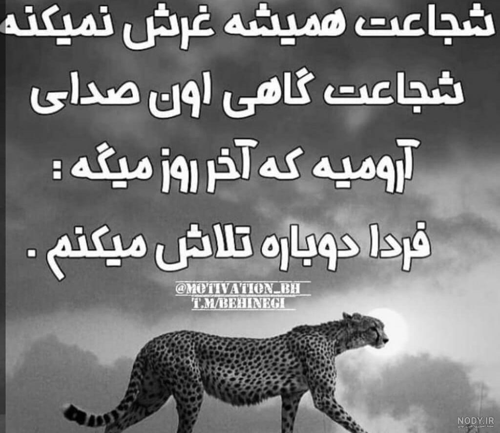عکس تلاش و کوشش بدون متن عکس تلاش و کوشش بدون متن