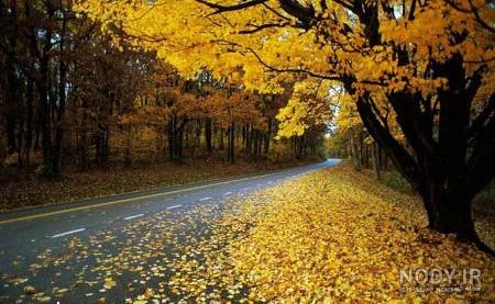 عکس طبیعت رویایی دخترانه