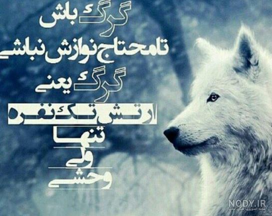 عکس پروفایل بدون متن تلگرام عکس پروفایل بدون متن تلگرام