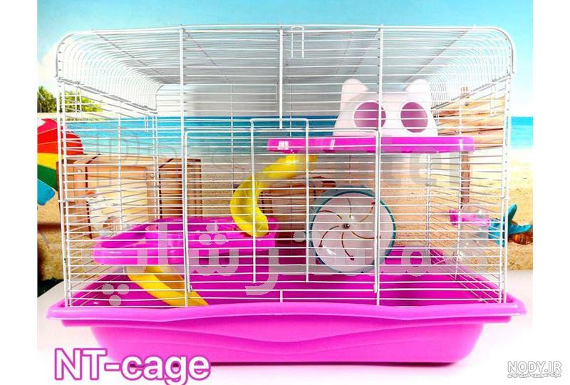 قیمت و عکس همستر قیمت و عکس همستر