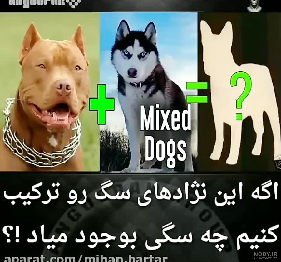 میکس گلدن و ژرمن میکس گلدن و ژرمن