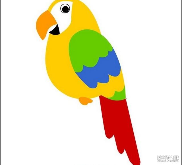 نقاشی طوطی زیبا نقاشی طوطی زیبا