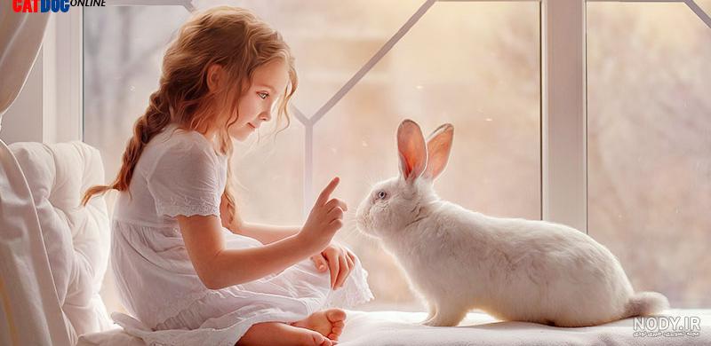 اسم خرگوش پسر با پ