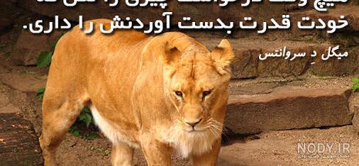 جملات انگیزشی زنان قدرتمند جملات انگیزشی زنان قدرتمند