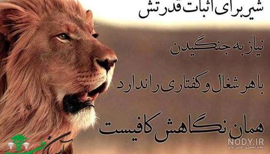جملات انگیزشی و قدرتمند جملات انگیزشی و قدرتمند