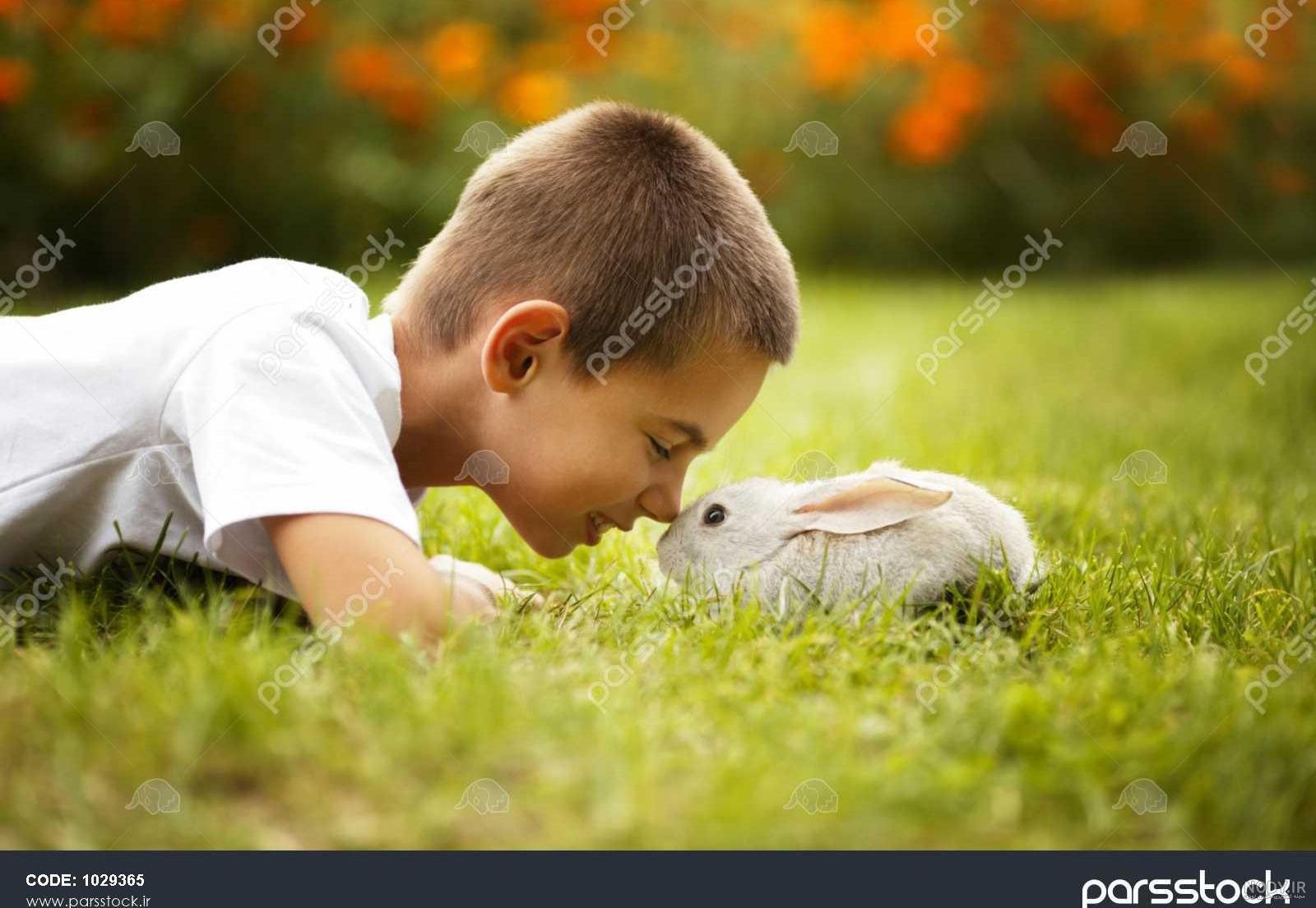 عکس خرگوش پسرانه