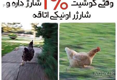 عکس خنده دار زیاد عکس خنده دار زیاد