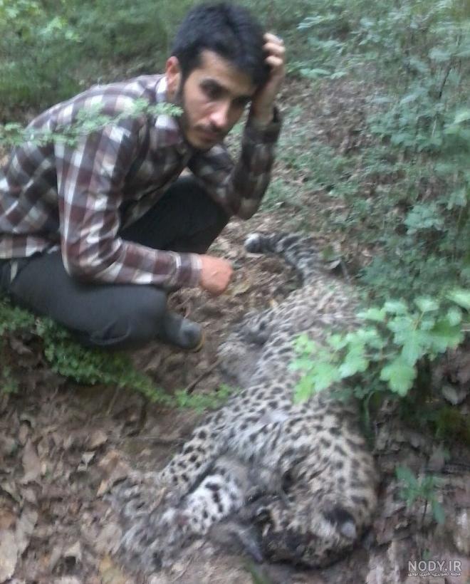 عکس کشته شدن سگ علی پلنگ