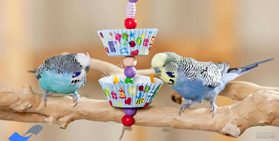 لباس برای عروس هلندی نر