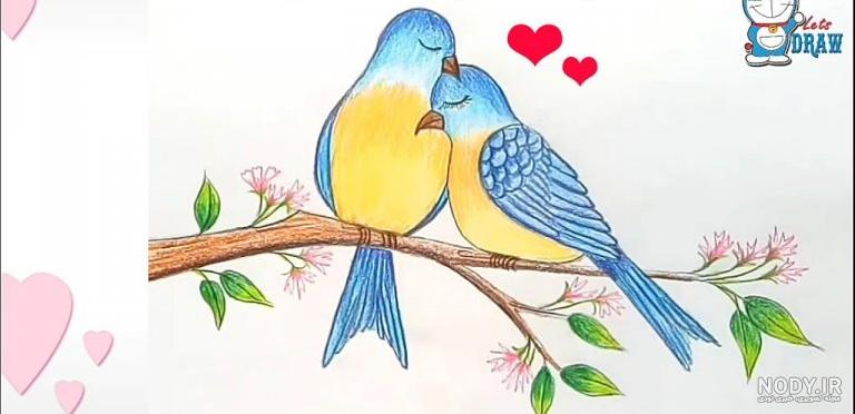عکس نقاشی از مرغ عشق عکس نقاشی از مرغ عشق