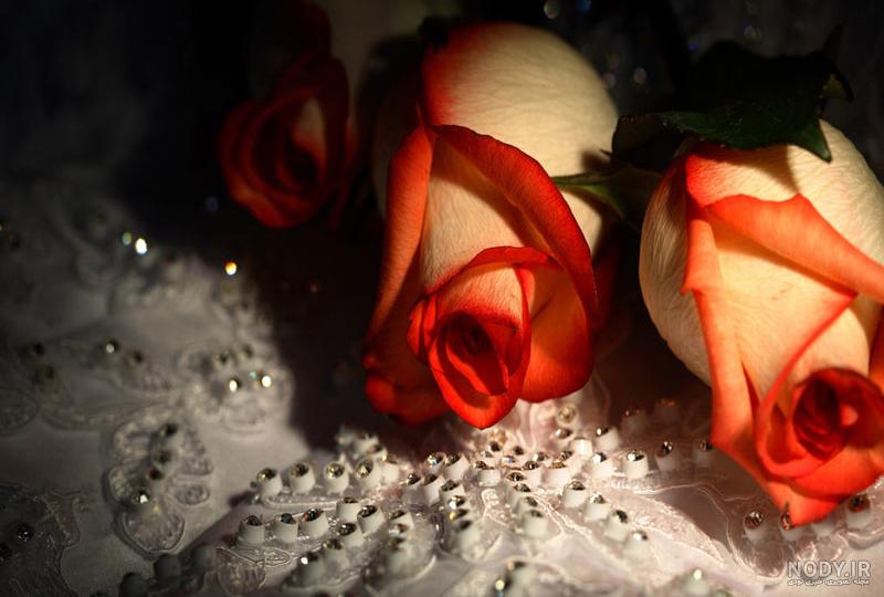 عکس گل نوشته دار عکس گل نوشته دار