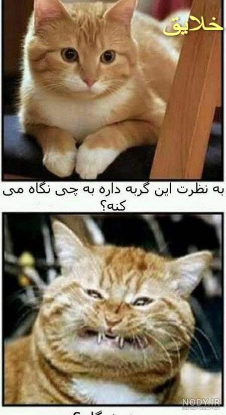 فیلم های خنده دار