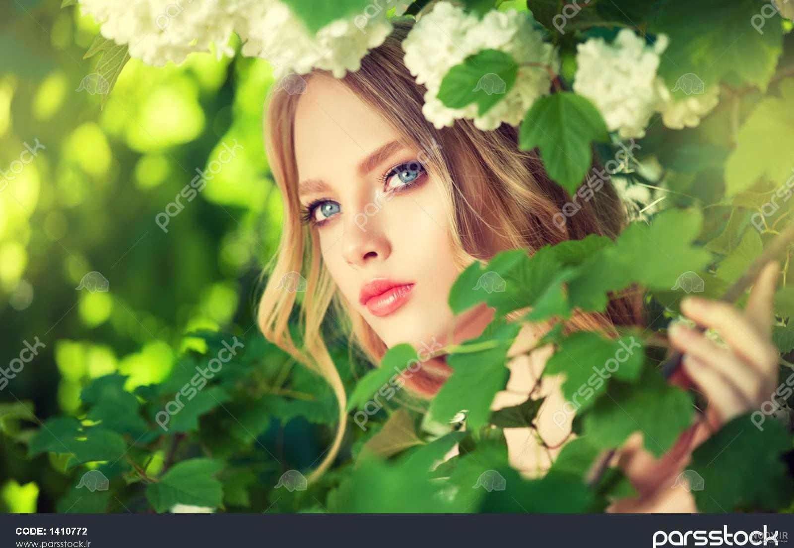 عکس باغ میوه