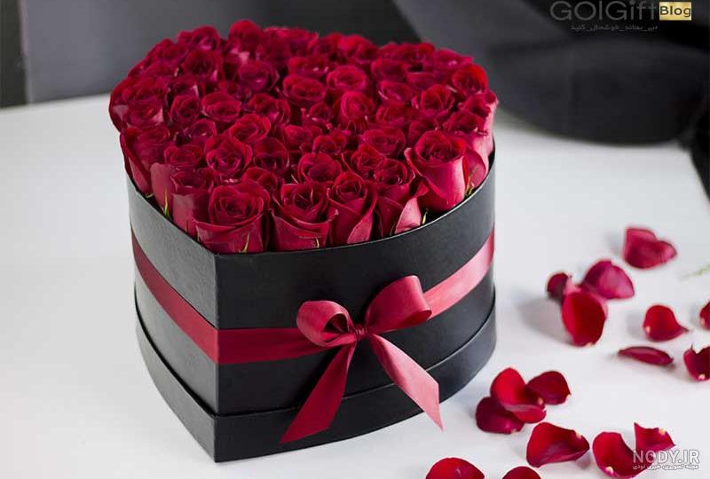 عکس گل جدید