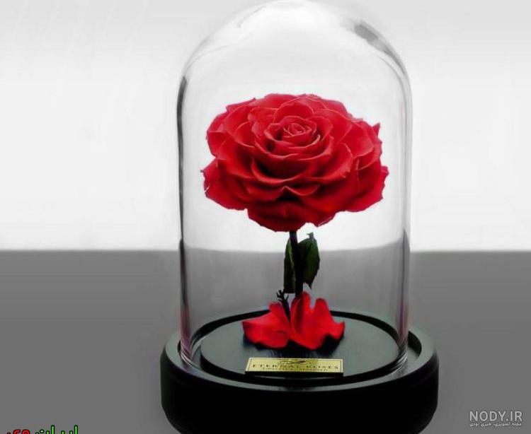 عکس گل در دست پسر