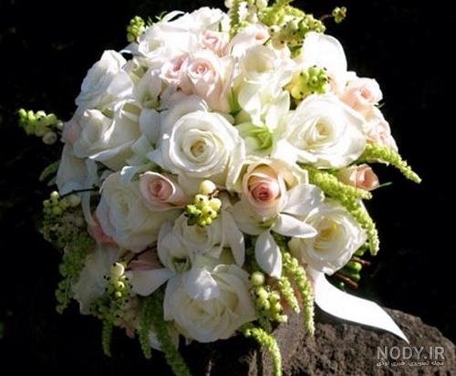 عکس گل عروسی طبیعی