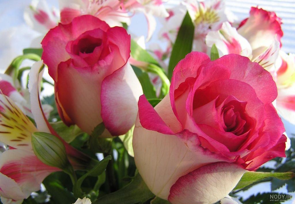 منظره عکس گل برای پروفایل واتساپ جدید منظره عکس گل برای پروفایل واتساپ جدید