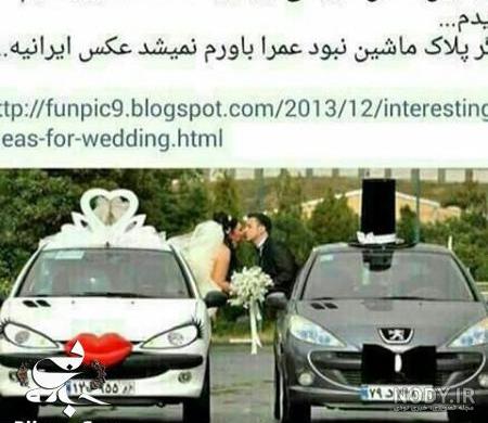 جوک موش و گربه جوک موش و گربه