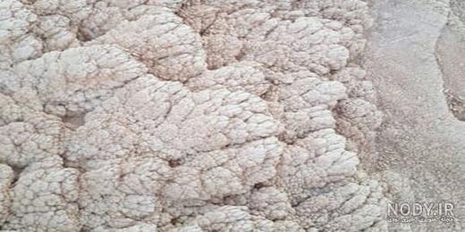 اقامتگاه دریاچه مهارلو اقامتگاه دریاچه مهارلو