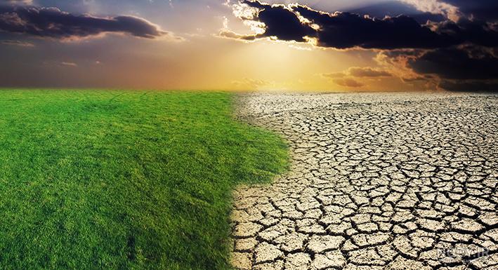 دشت لوت و دشت کویر در ناحیه کجا قرار دارد