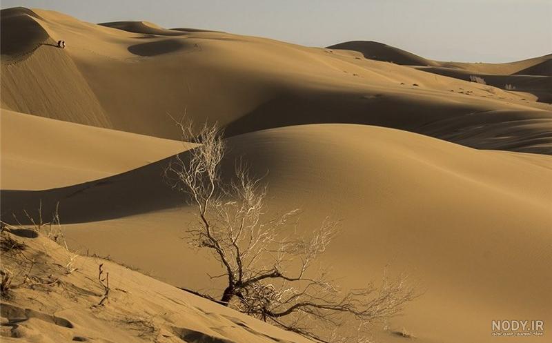 دمای دشت لوت